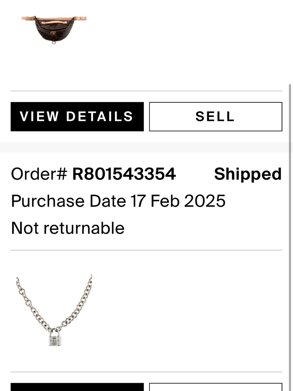 Tiffany and Co Sterling Silver Padlock Chain Necklace - Silver - Picture 5 of 6